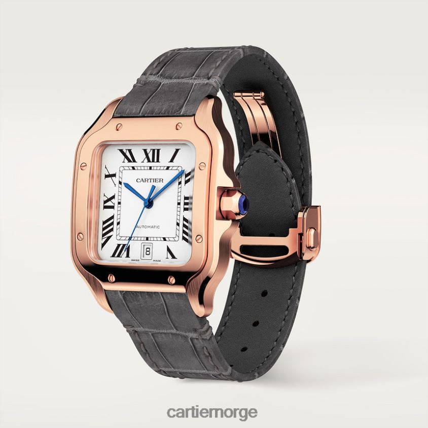 tilbehør Cartier santos klokke stilig F4466N884
