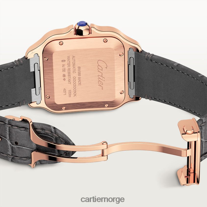 tilbehør Cartier santos klokke stilig F4466N884