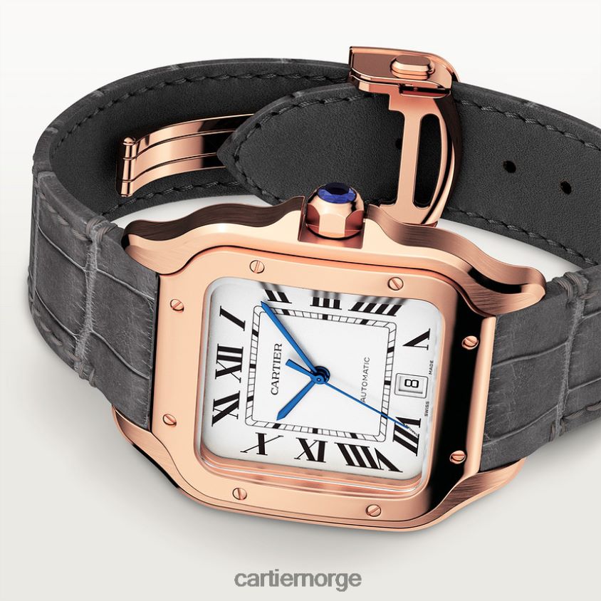 tilbehør Cartier santos klokke stilig F4466N884