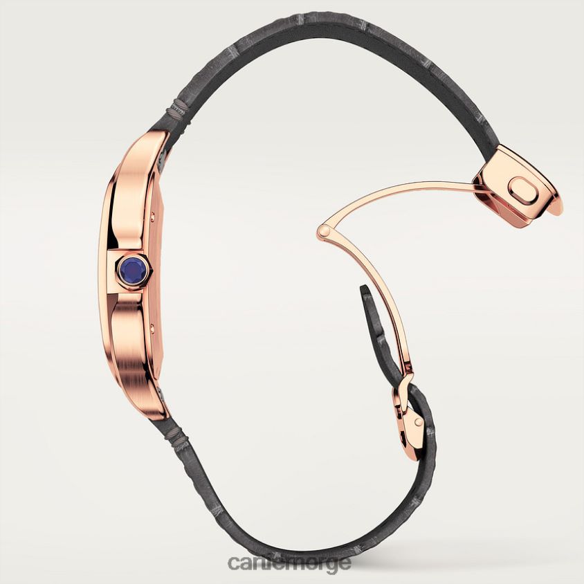 tilbehør Cartier santos klokke stilig F4466N884