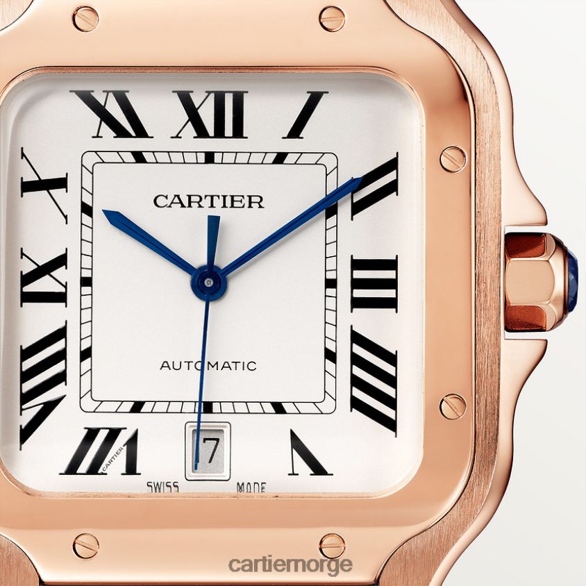 tilbehør Cartier santos klokke stilig F4466N884