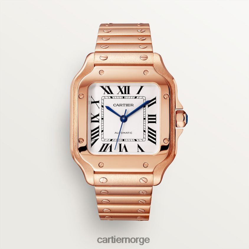 tilbehør Cartier santos klokke stilig F4466N885