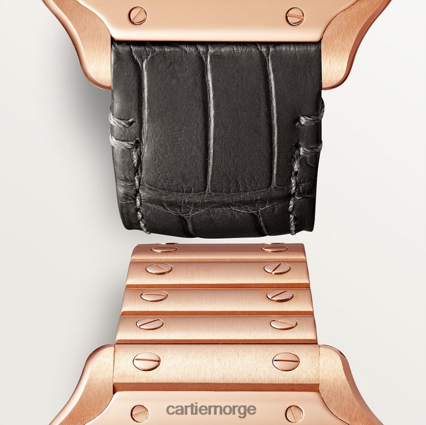 tilbehør Cartier santos klokke stilig F4466N885