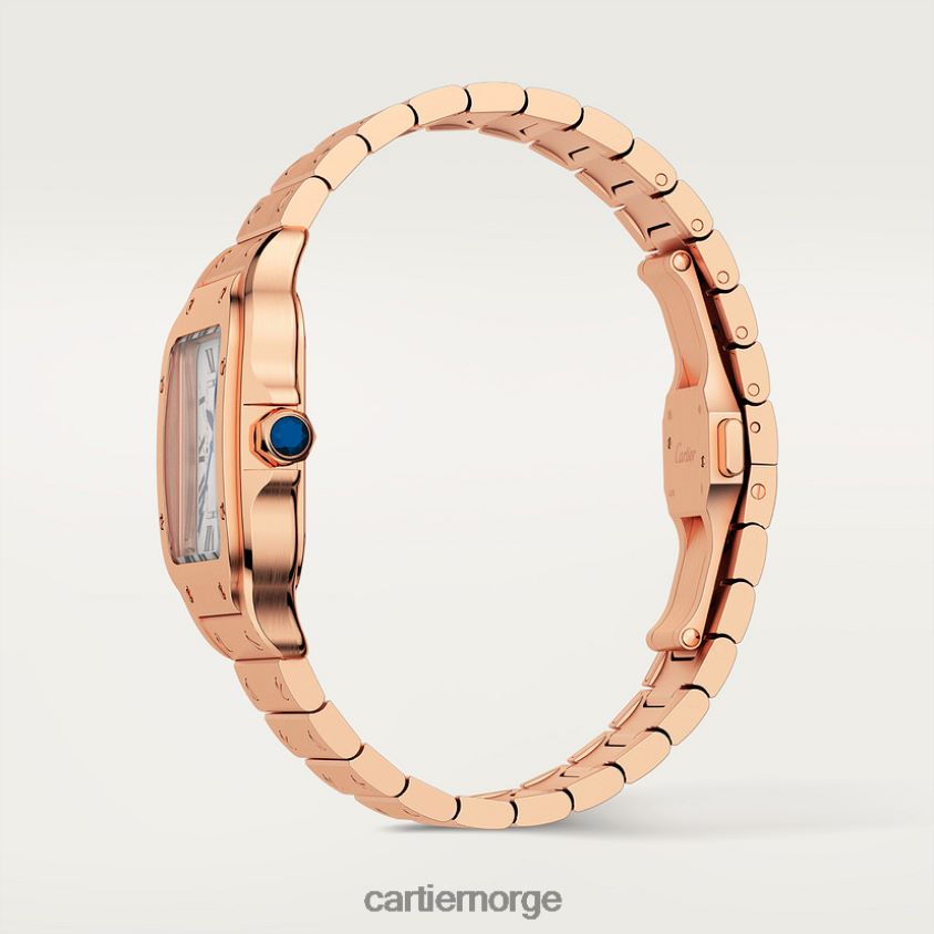 tilbehør Cartier santos klokke stilig F4466N885