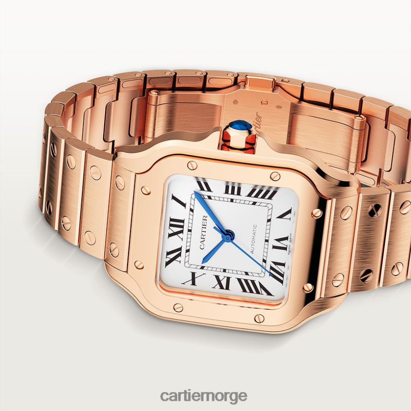 tilbehør Cartier santos klokke stilig F4466N885