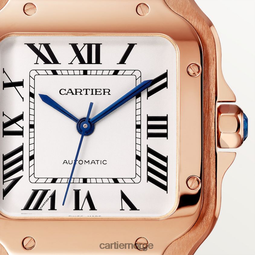 tilbehør Cartier santos klokke stilig F4466N885