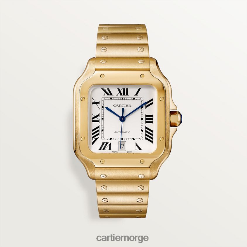 tilbehør Cartier santos klokke stilig F4466N887