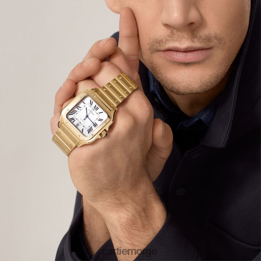 tilbehør Cartier santos klokke stilig F4466N887