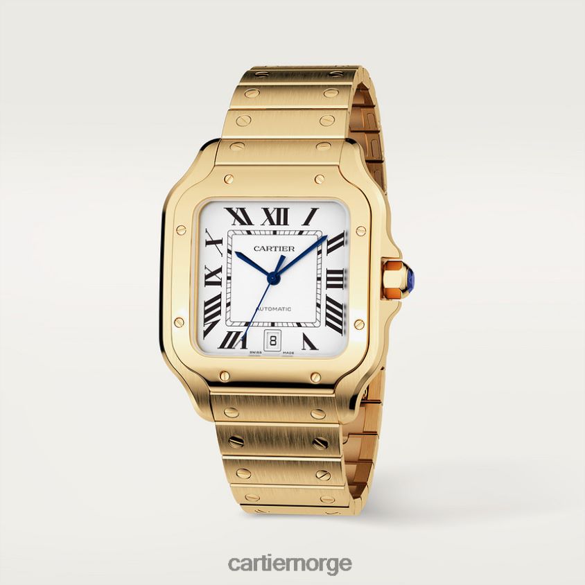 tilbehør Cartier santos klokke stilig F4466N887