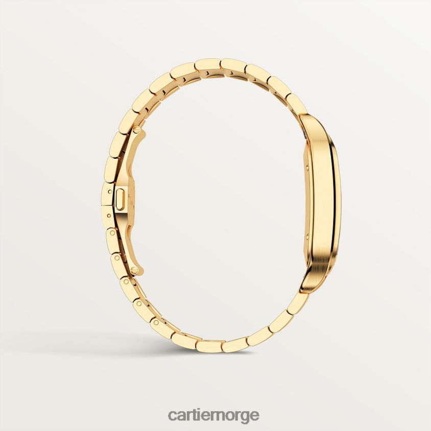 tilbehør Cartier santos klokke stilig F4466N887