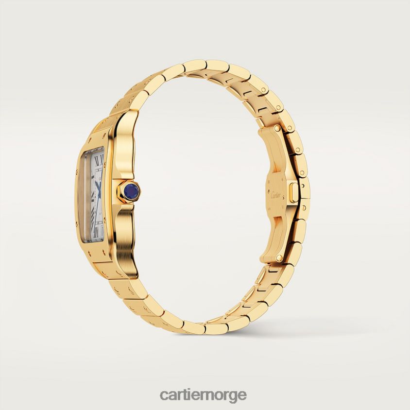 tilbehør Cartier santos klokke stilig F4466N887