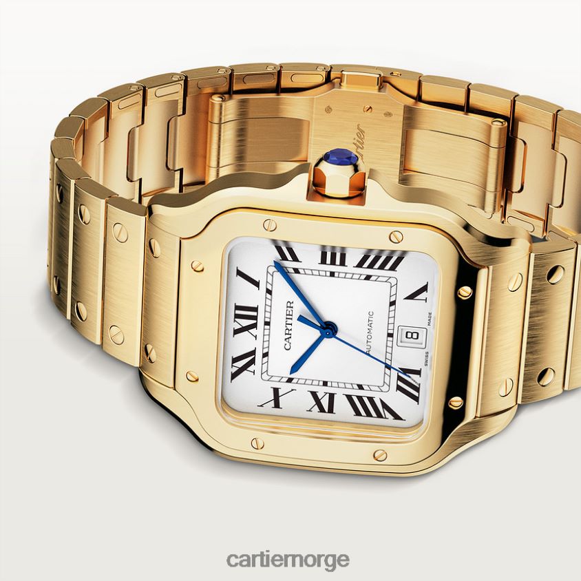 tilbehør Cartier santos klokke stilig F4466N887