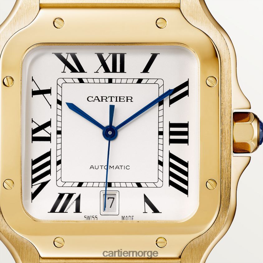 tilbehør Cartier santos klokke stilig F4466N887