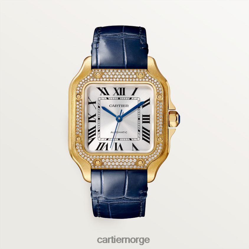 tilbehør Cartier santos klokke stilig F4466N893