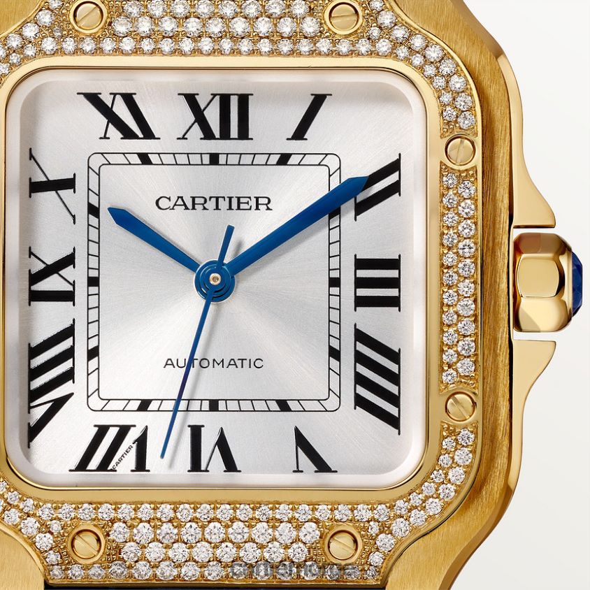 tilbehør Cartier santos klokke stilig F4466N893