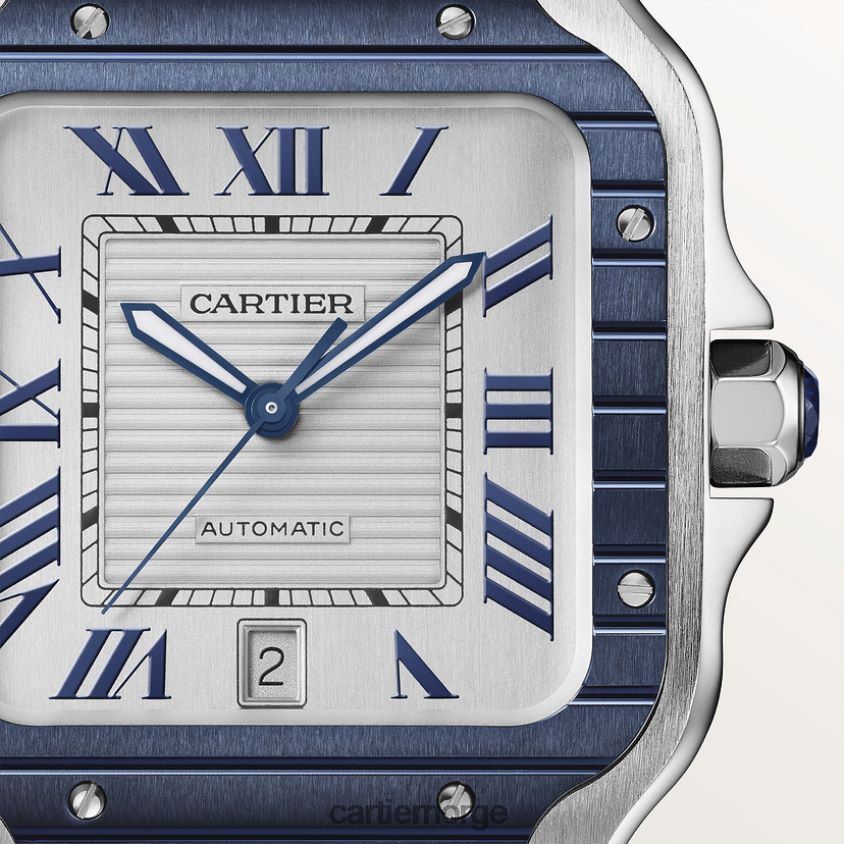 tilbehør Cartier santos klokke stilig F4466N894