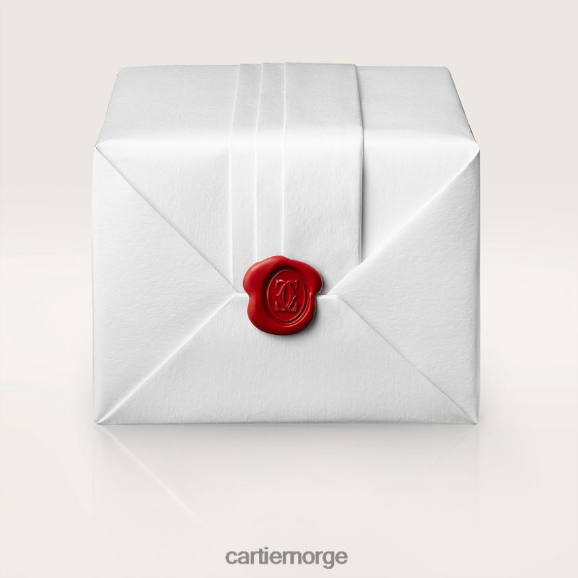 tilbehør Cartier santos klokke stilig F4466N894