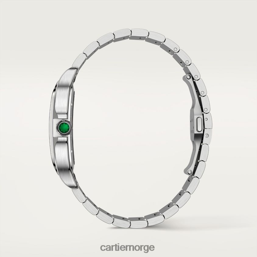 tilbehør Cartier santos klokke stilig F4466N895