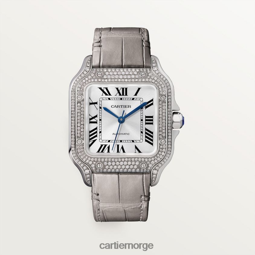 tilbehør Cartier santos klokke stilig F4466N898