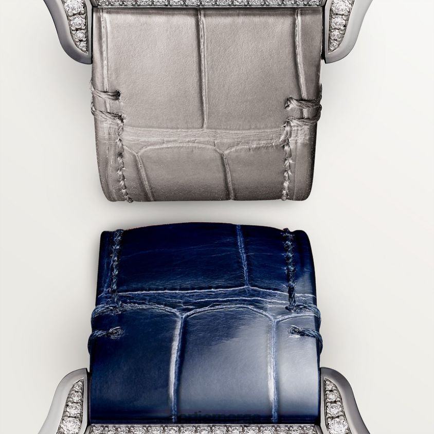 tilbehør Cartier santos klokke stilig F4466N898