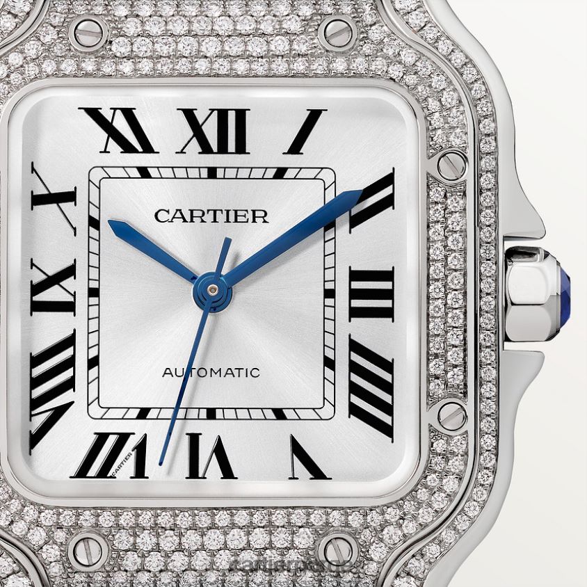 tilbehør Cartier santos klokke stilig F4466N898