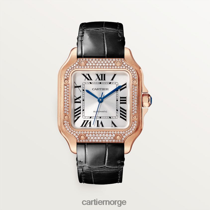 tilbehør Cartier santos klokke stilig F4466N899