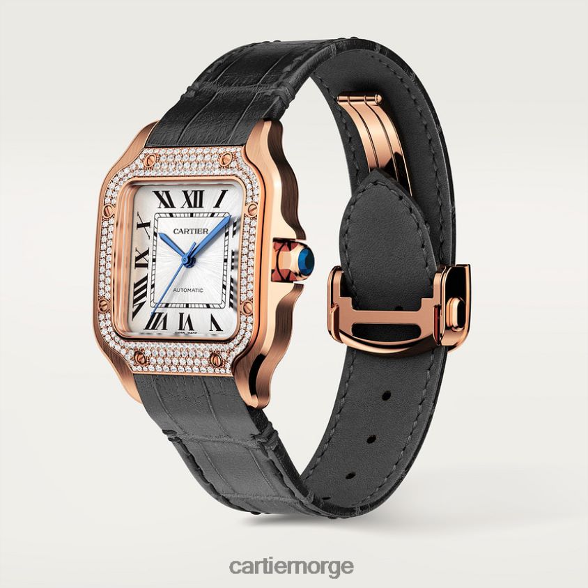 tilbehør Cartier santos klokke stilig F4466N899
