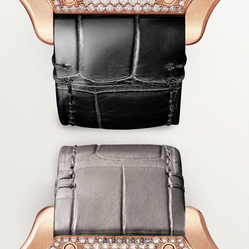 tilbehør Cartier santos klokke stilig F4466N899