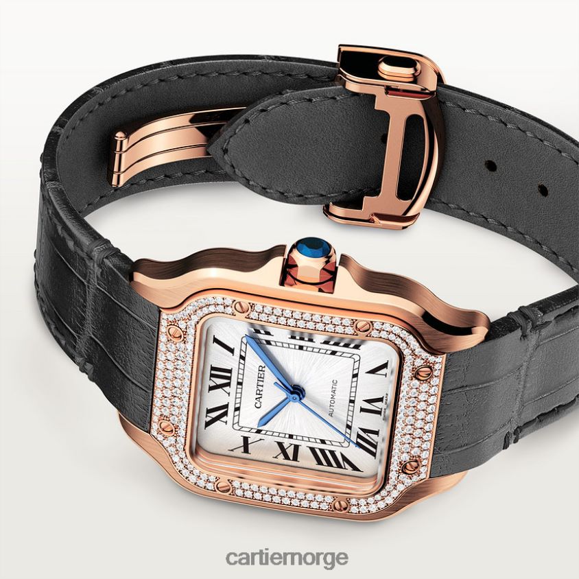 tilbehør Cartier santos klokke stilig F4466N899
