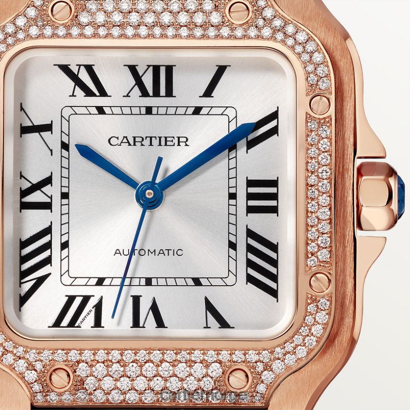 tilbehør Cartier santos klokke stilig F4466N899