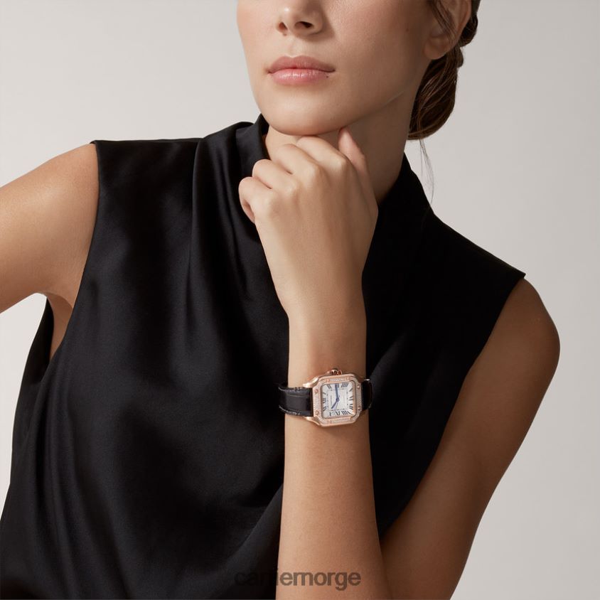 tilbehør Cartier santos klokke stilig F4466N899