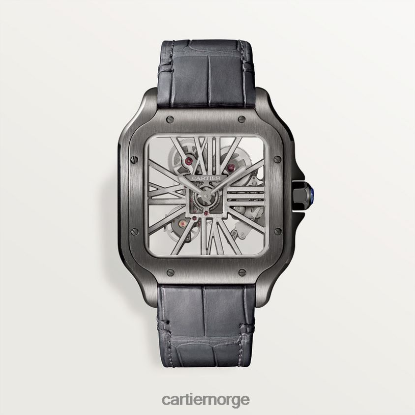 tilbehør Cartier santos klokke stilig F4466N900