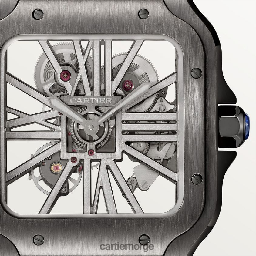 tilbehør Cartier santos klokke stilig F4466N900