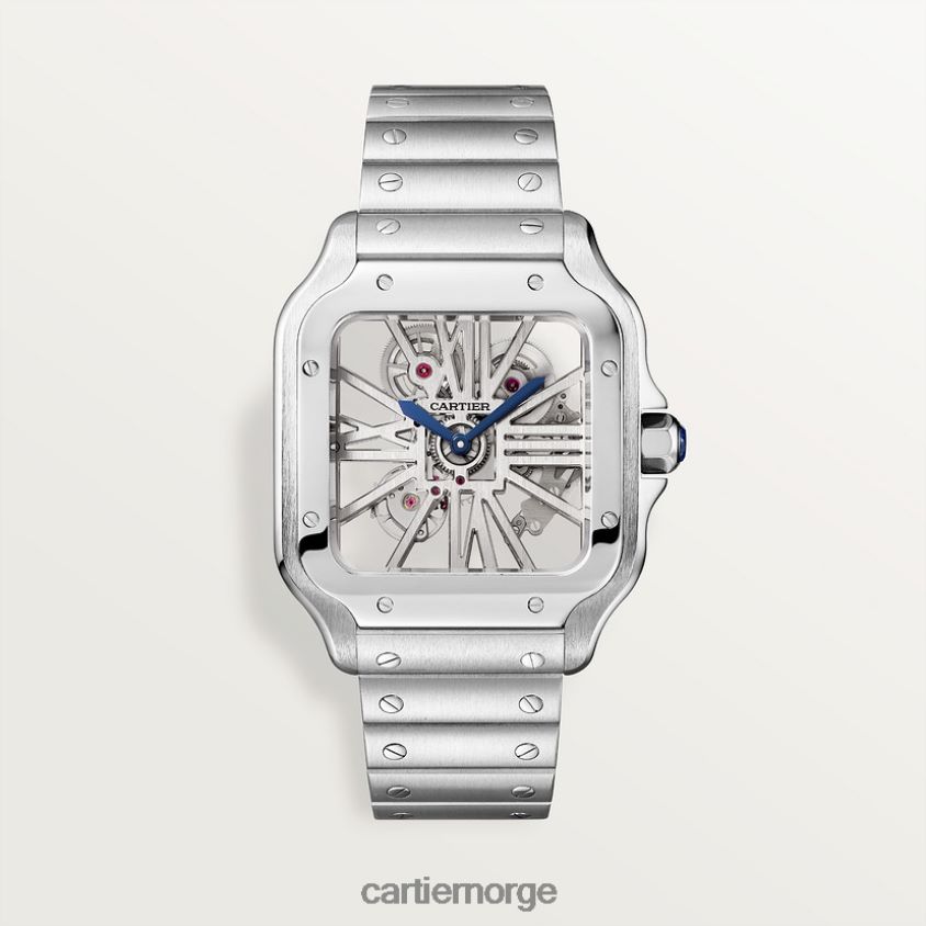 tilbehør Cartier santos klokke stilig F4466N901