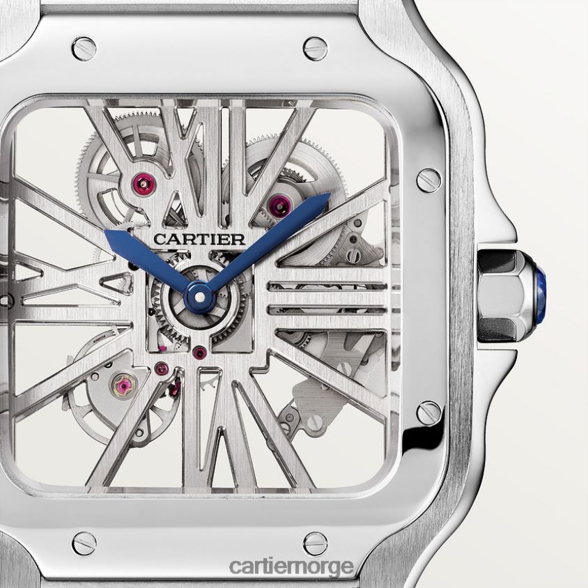 tilbehør Cartier santos klokke stilig F4466N901