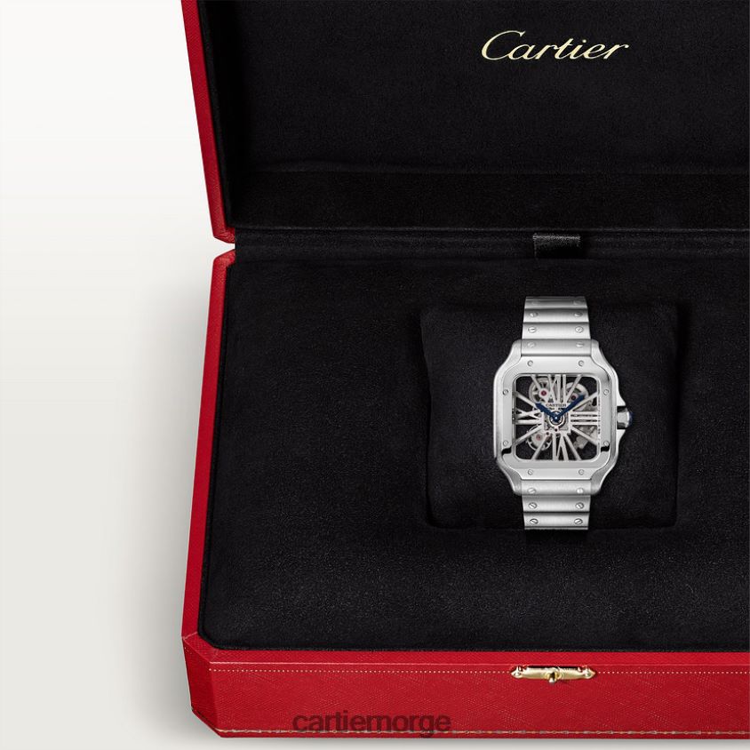 tilbehør Cartier santos klokke stilig F4466N901