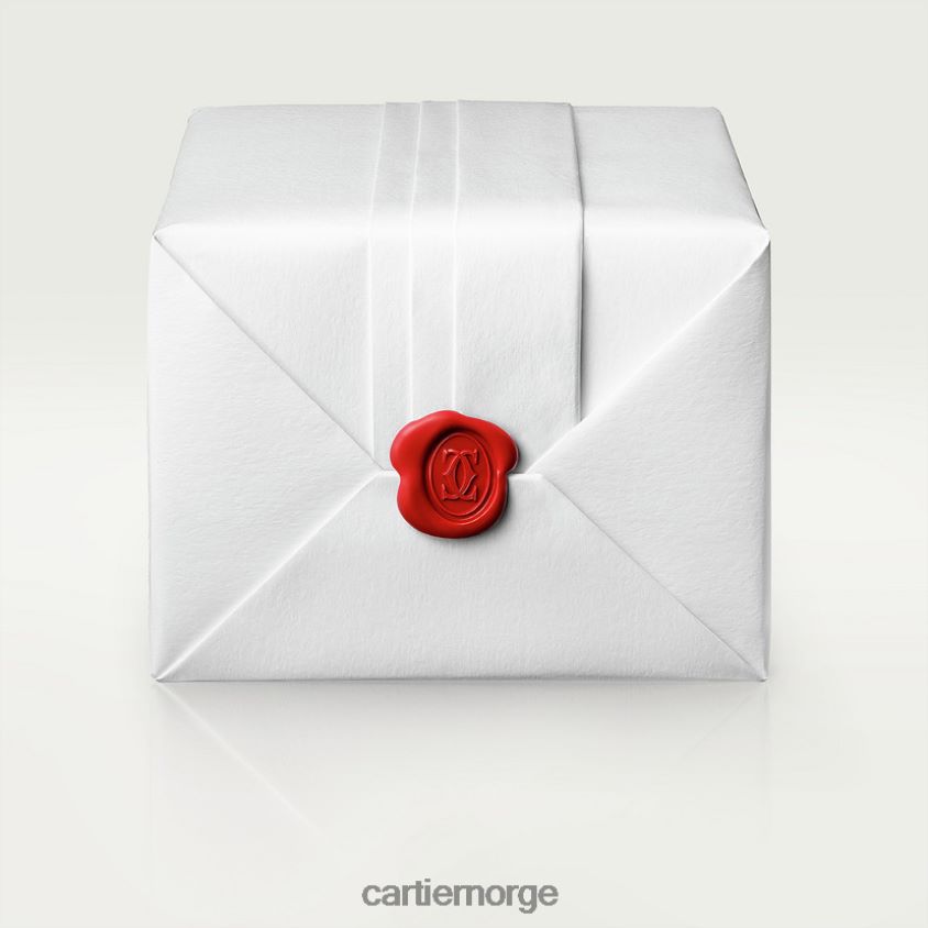 tilbehør Cartier santos klokke stilig F4466N901