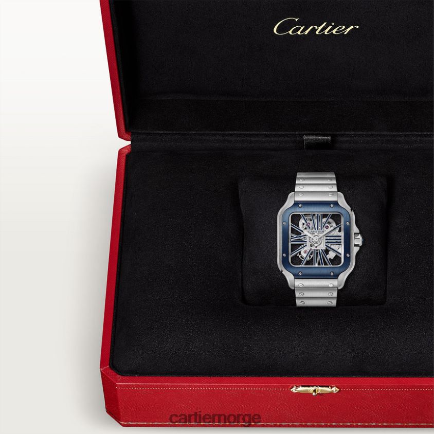 tilbehør Cartier santos klokke stilig F4466N902