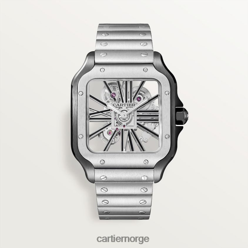 tilbehør Cartier santos klokke stilig F4466N903
