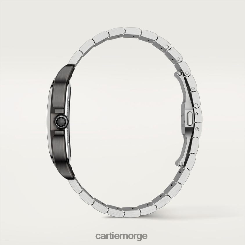 tilbehør Cartier santos klokke stilig F4466N903
