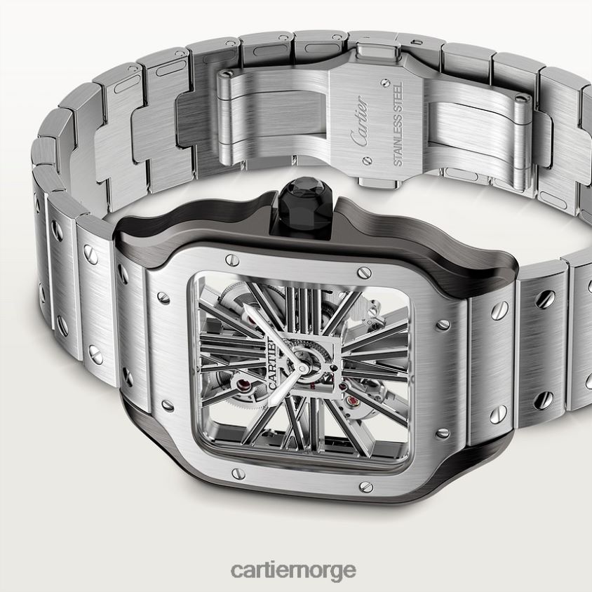 tilbehør Cartier santos klokke stilig F4466N903
