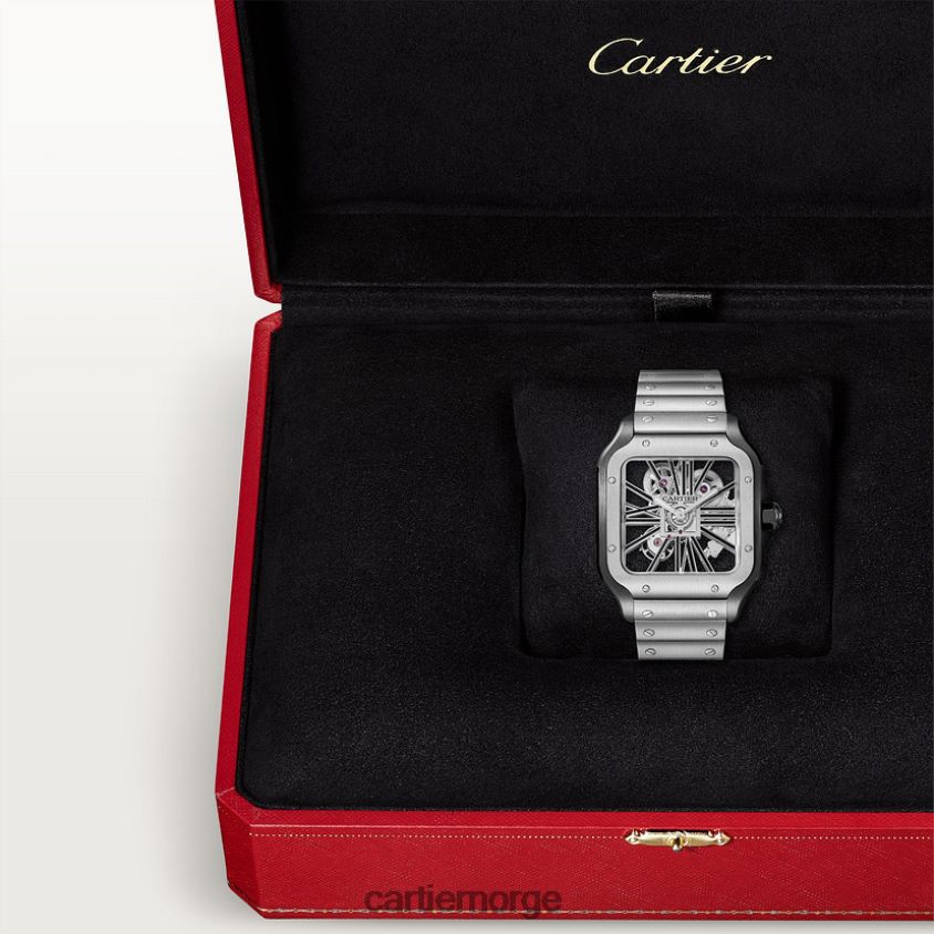 tilbehør Cartier santos klokke stilig F4466N903