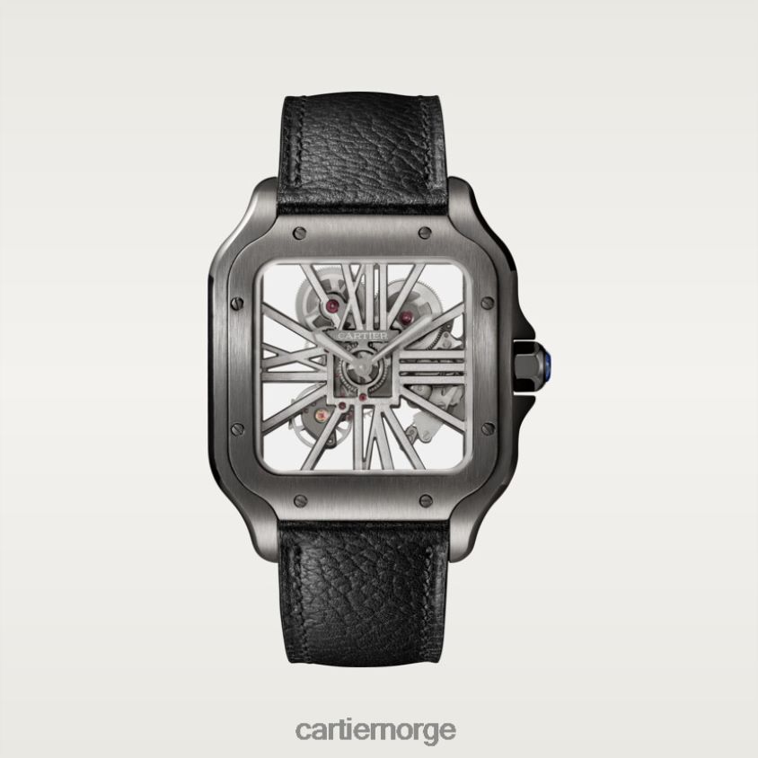 tilbehør Cartier santos klokke stilig F4466N905