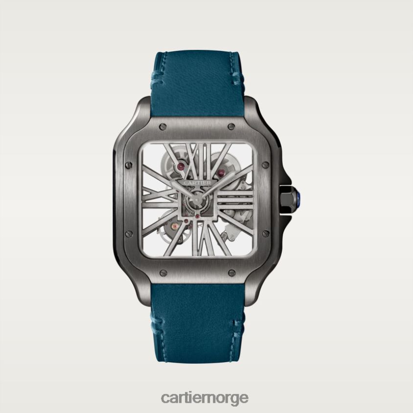 tilbehør Cartier santos klokke stilig F4466N905