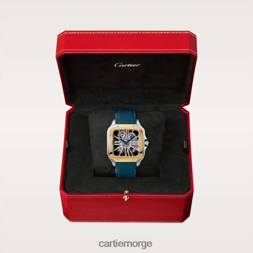 tilbehør Cartier santos klokke stilig F4466N907