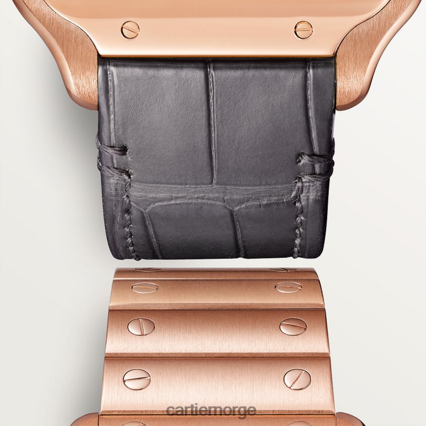 tilbehør Cartier santos klokke stilig F4466N908