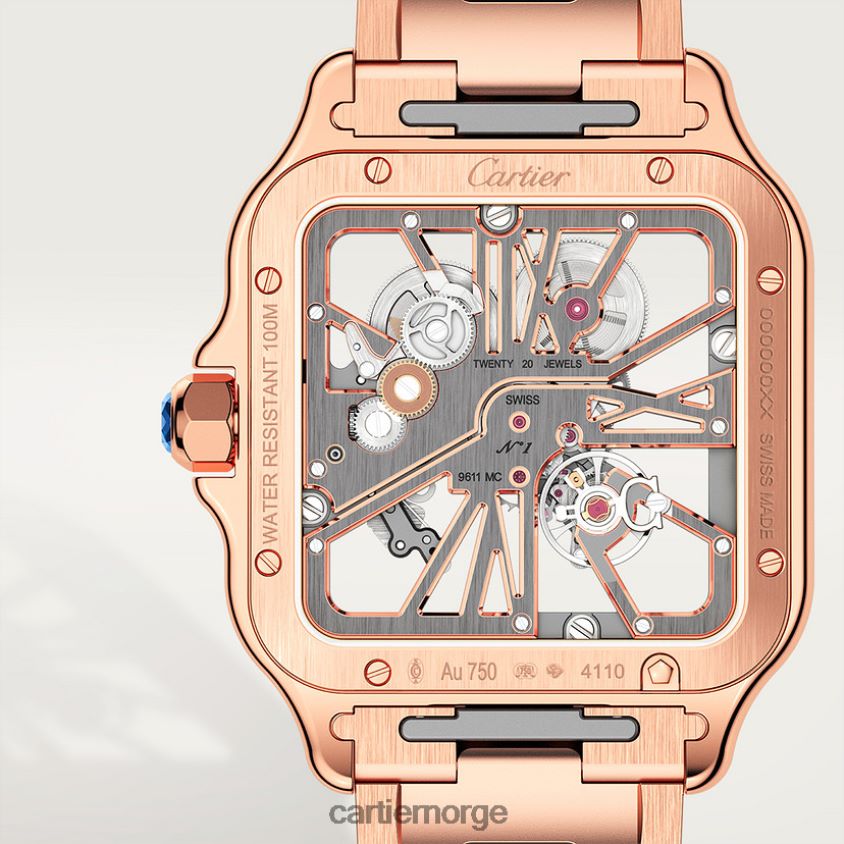 tilbehør Cartier santos klokke stilig F4466N908