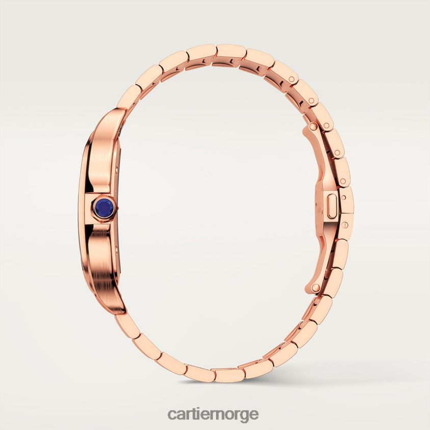 tilbehør Cartier santos klokke stilig F4466N908