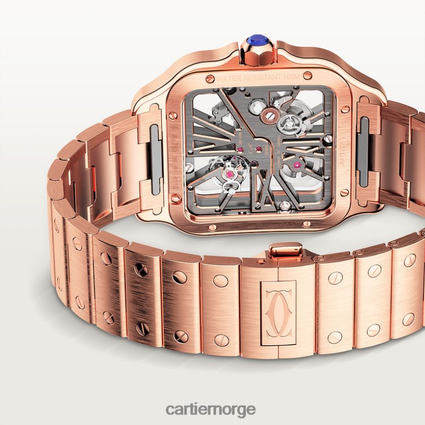 tilbehør Cartier santos klokke stilig F4466N908