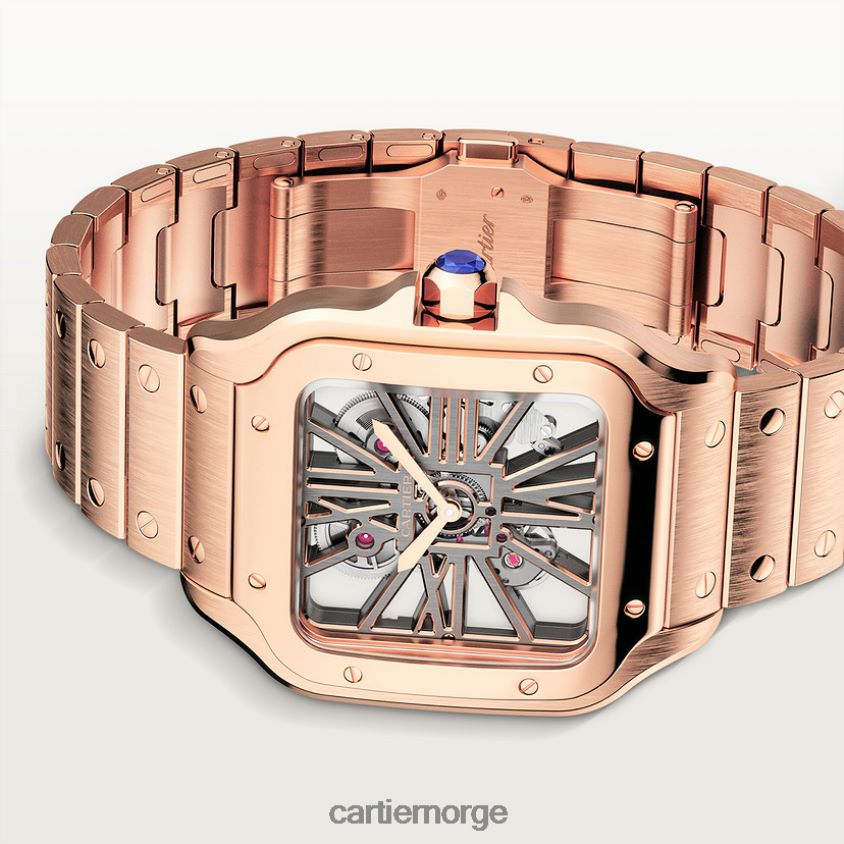 tilbehør Cartier santos klokke stilig F4466N908